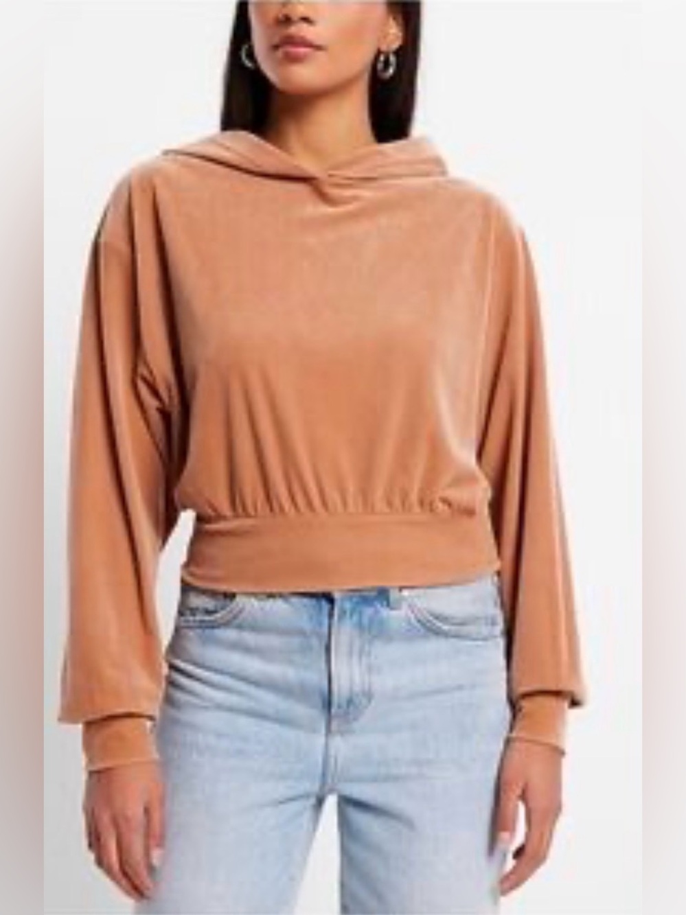 Express Neutral Tan Boxy Velour Whimsical Waist Length Hoodie size Medium